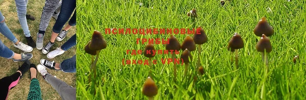 apvp Пересвет