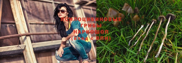 не бодяженный Осинники