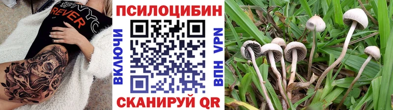 Купить где  Кириши  Галлюциногенные грибы мухоморы 