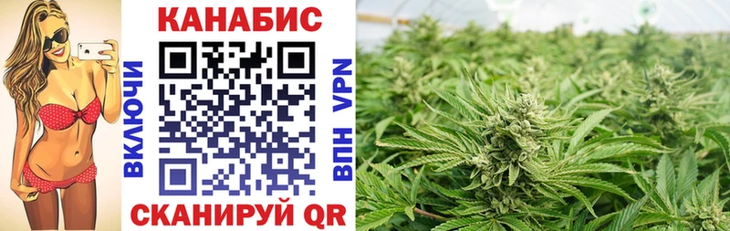 Купить  Кириши  МАРИХУАНА THC 21% 